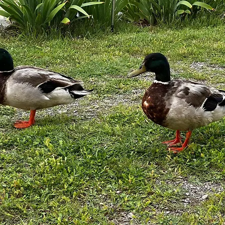 Villa La Au Bord Du Canal