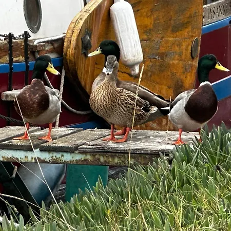 La Au Bord Du Canal Villa *