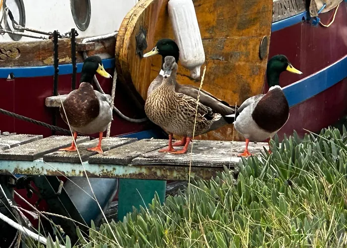 La Au Bord Du Canal Villa *